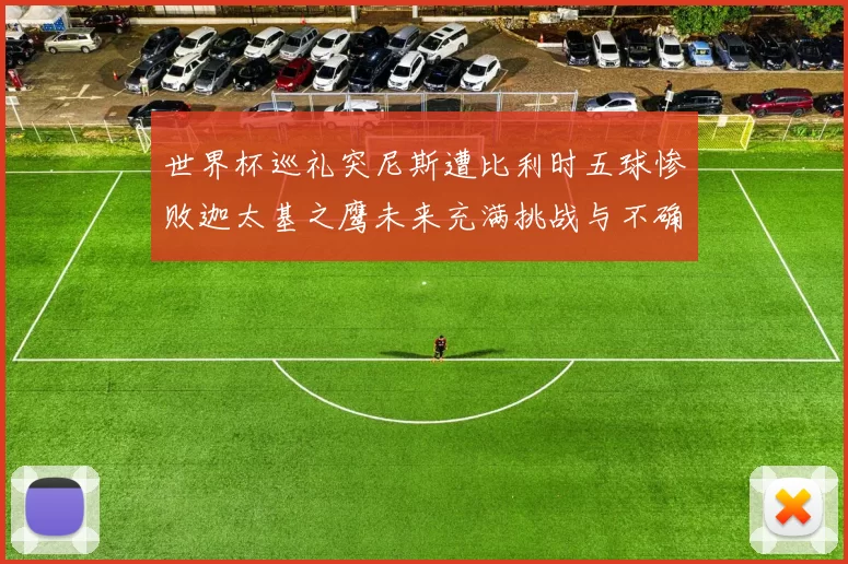 世界杯巡礼突尼斯遭比利时五球惨败迦太基之鹰未来充满挑战与不确定性