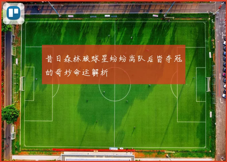 昔日森林狼球星纷纷离队后皆夺冠的奇妙命运解析